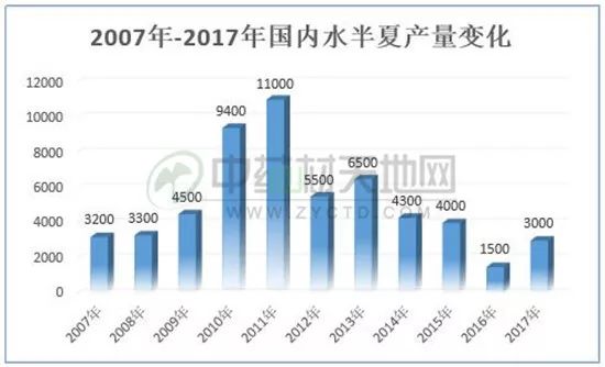 半夏最新价格，友情与陪伴的温馨故事开启