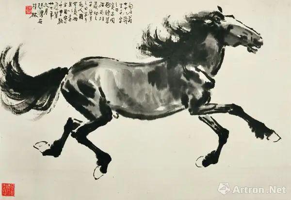 最新马图，自然美景探索之旅