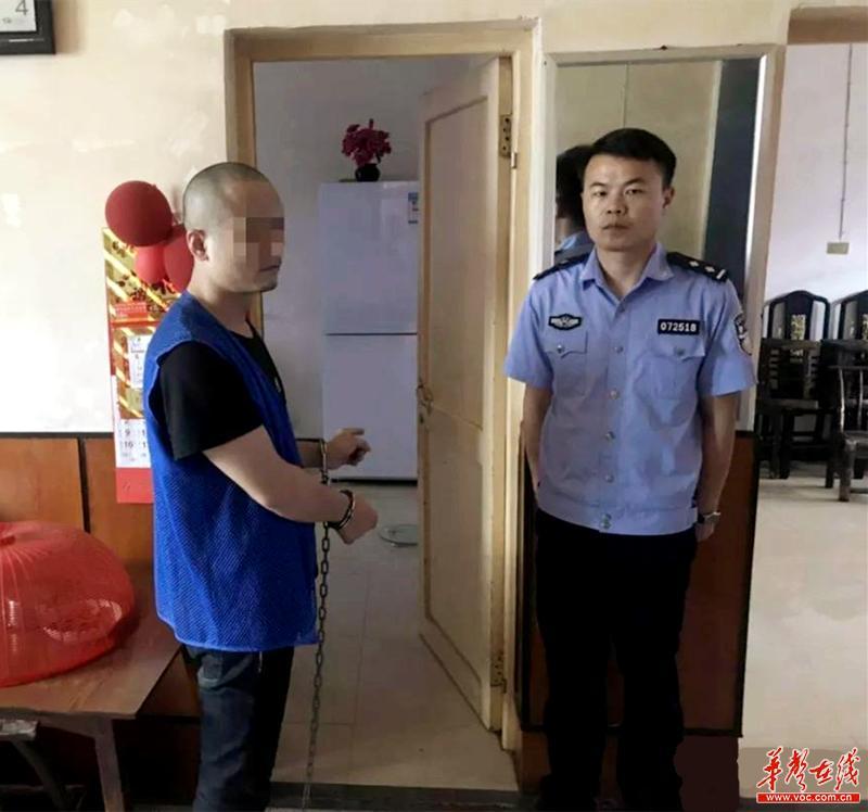 汨罗三塘路最新征收，自然美景的探索之旅启动