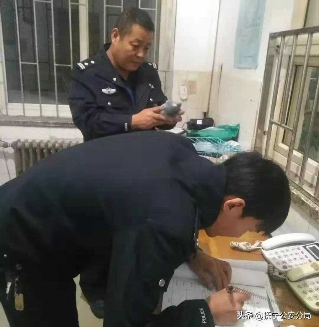 大成公棚最新动态，自然美景探索之旅，心灵洗涤与重生体验