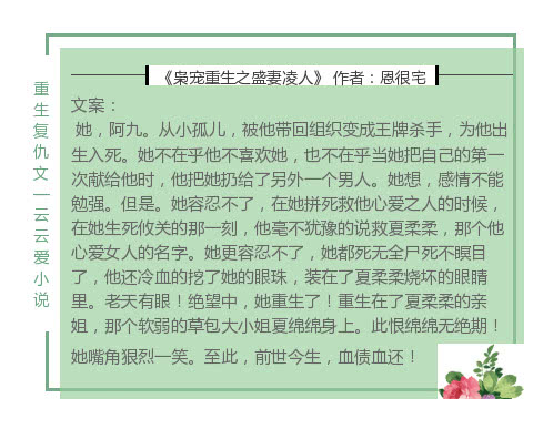 枭宠重生盛妻凌人，最新背景、事件与影响深度解析