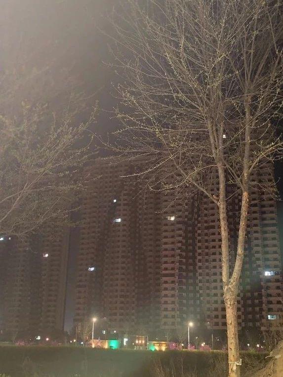 平原新区未来展望揭秘，2025最新消息🌟