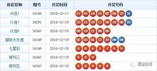 最新31选7开奖结果揭秘与小巷深处的独特小店发现之旅