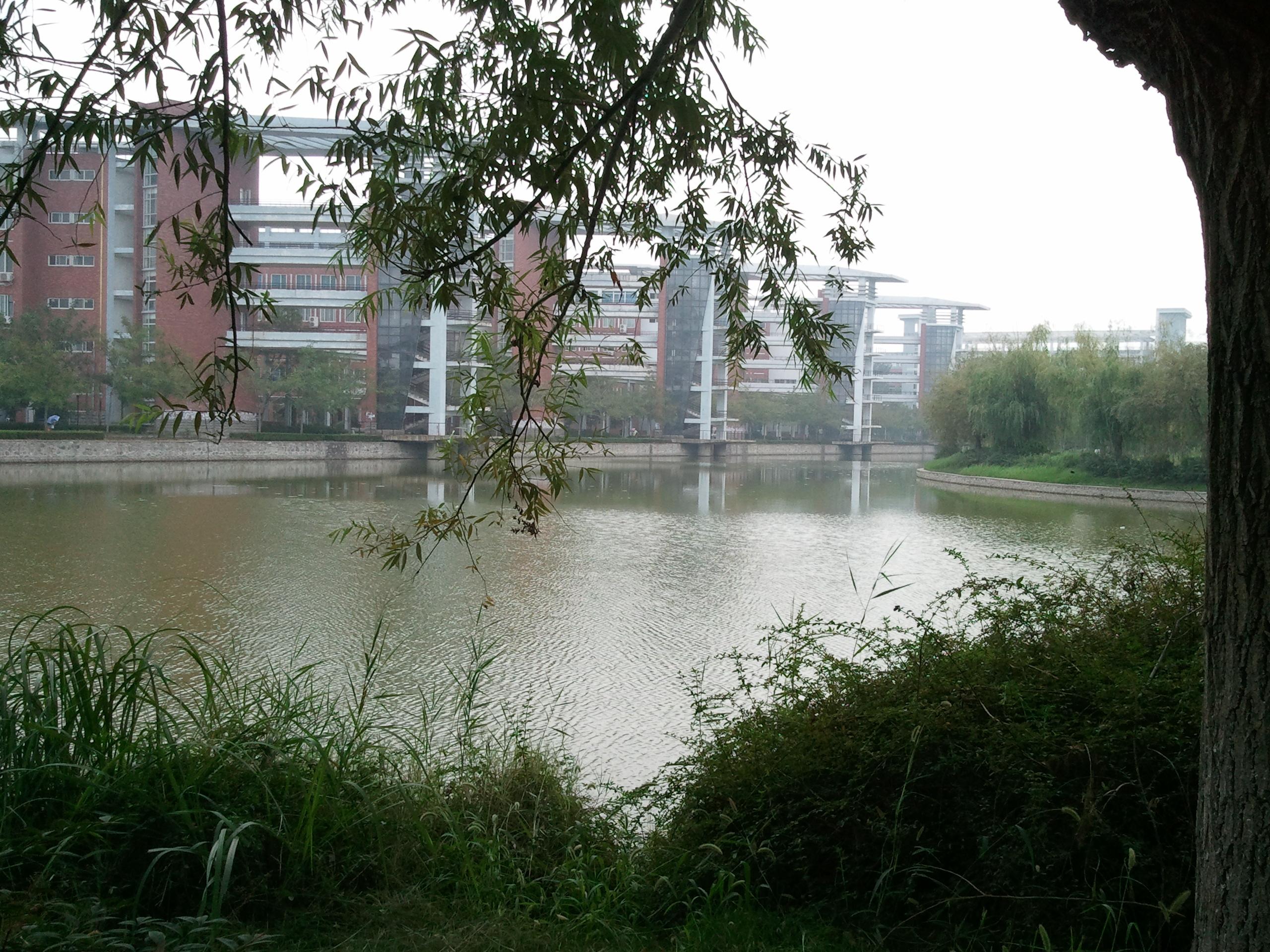 河南大学软件类最新贴吧，小巷中的秘密花园揭秘