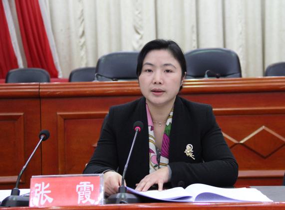 宜阳最新人事任免张霞，多维度视角下的深度解析